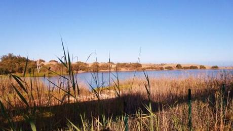 5 Lugares Imprescindibles en una visita a Gran Canaria Charca