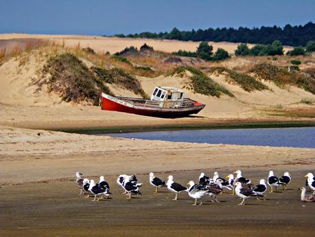 La Costa de Rocha: La Paloma – La Pedrera – Cabo Polonio – Valizas – Punta del Diablo - Chuy