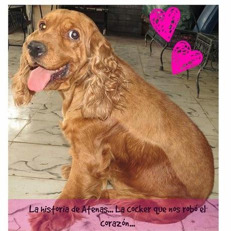 Atenas: Historia de una segunda oportunidad para ser feliz!