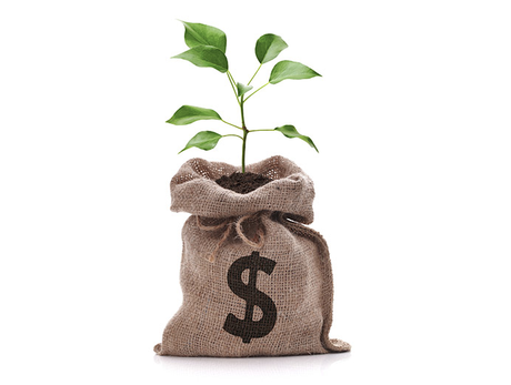 Cinco maneras de economizar con prácticas sustentables