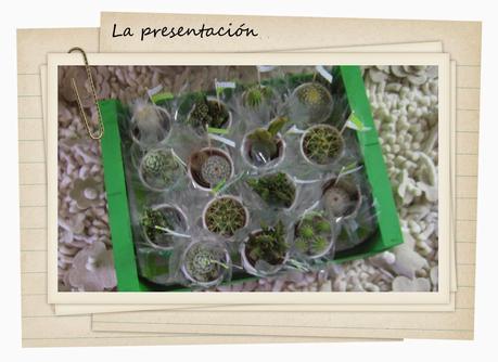 DETALLES DE COMUNIÓN DIY