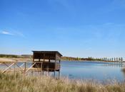 Laguna Grande Bercianos Real Camino (León)