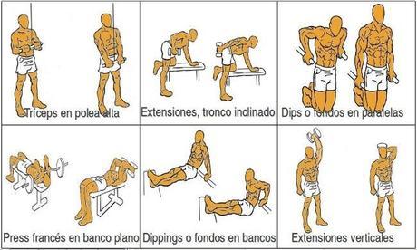 Tríceps : La rutina de entrenamiento definitiva Tríceps : La rutina de entrenamiento definitiva