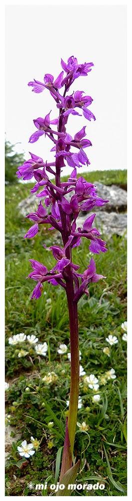 Un día por el monte Aitzkorri