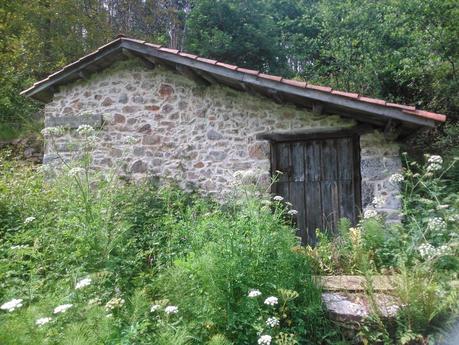 donde buscar tesoros