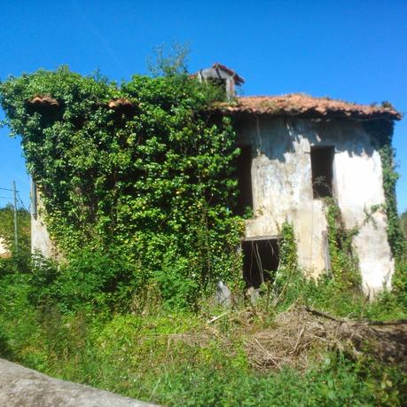 donde buscar tesoros