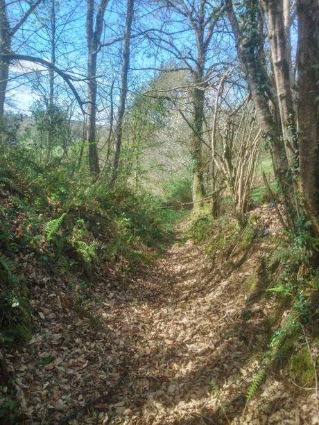 donde buscar tesoros