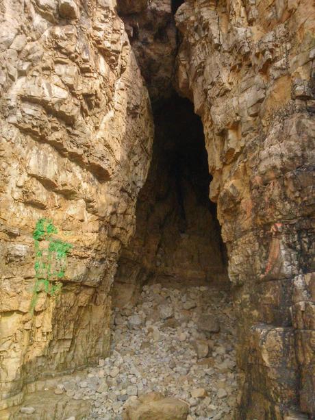 donde buscar tesoros