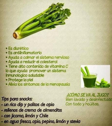 Todo lo que tienes que saber del apio
