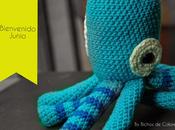 Bienvenido Junio