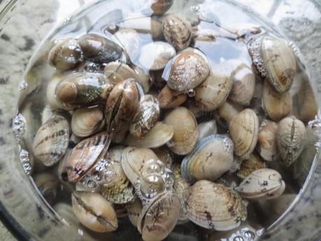 Merluza a la romana con almejas olla GM