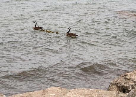 En Grimsby Beach, ON - I