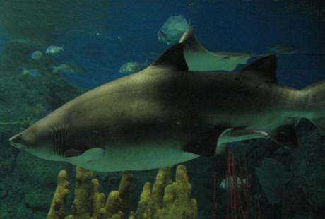 Aventura extrema en Argentina para descubrir y vivir este territorio múltiple.