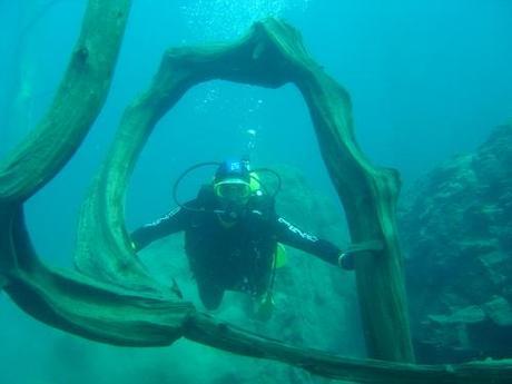 Buceo y excursiones subacuáticas en Argentina.