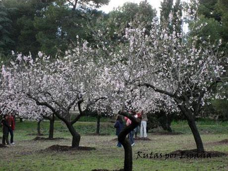 Quinta de los Molinos
