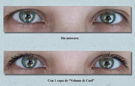 Las propuestas de ISADORA para este verano