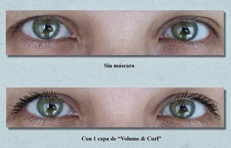 Las propuestas de ISADORA para este verano