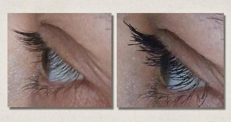 Las propuestas de ISADORA para este verano