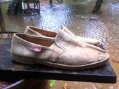 buscan alpargatas marca Festival talla brand sandals size Wanted