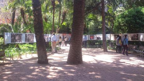 Palau Robert exposiciones