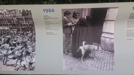 Palau Robert exposiciones