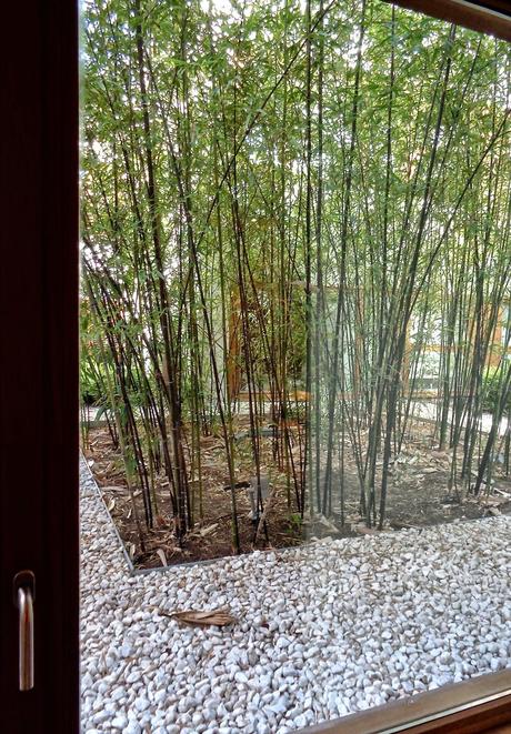 ESPACIOS QUE INSPIRAN: EL JARDÍN DE ALCALÁ