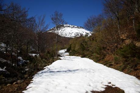 La pista cuando se llega a la Llorada estaba cubierta de nieve. Foto: Sara Gordón