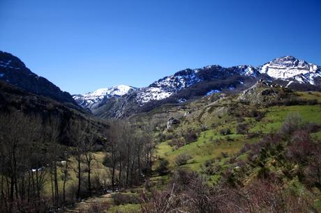 El principio es un tramo de escaso desnivel,  en  el  que se remonta un valle cada vez más  estrecho  y frondoso, que termina por abrirse  un poco al alcanzar  el  Prado  Demedios. Foto: Sara Gordón