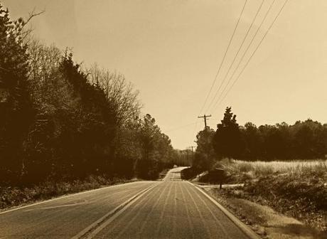 ¿De dónde venimos?