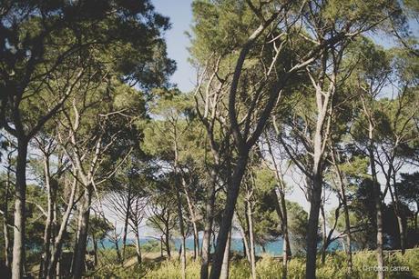 //Preboda en Empordà Costa Brava por Mónica Carrera// Wedding Planner Girona y Barcelona  www.bodasdecuento.com