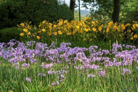 botanico-gijon