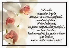 Algo más sobre Maya AngelouCuando la conocí, era ya una f...