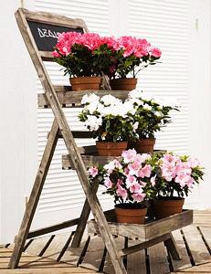 Decorando con macetas para el verano