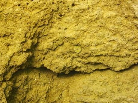 Las Grutas Piratas del Algarve Portugues