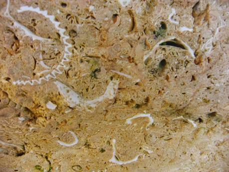 Las Grutas Piratas del Algarve Portugues