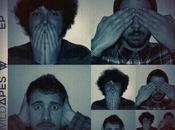 Wild Apes: Apes