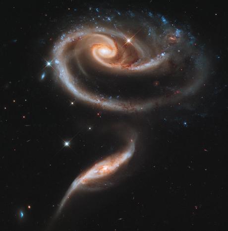 Orange Yellow Red: A Rose Made Of Galaxies