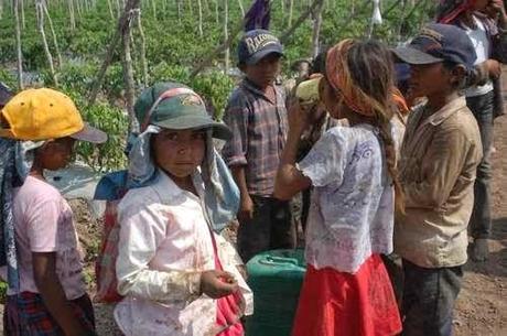 Obama anuncia plan ante crisis de niños que llegan solos a EE.UU.