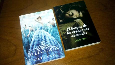 Imm Nº 6, Mayo y Junio