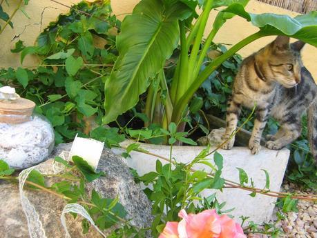 Coser no coso, pero hacer costureros.....