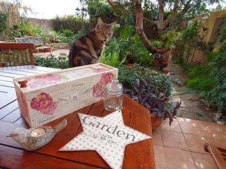 Pensamientos....en una caja de vino