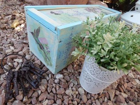 Caja colibrí Caja colibrí