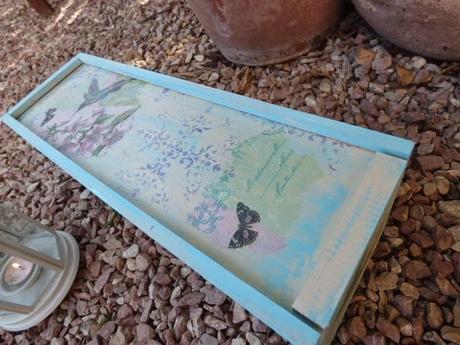 Caja colibrí Caja colibrí