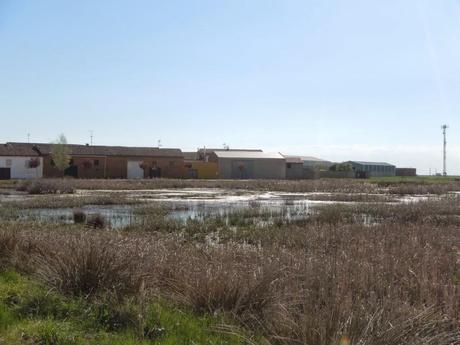 Laguna Manzana. El Burgo Ranero (León)