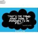 469. TEAM CHÉVERE (erbutterfly)