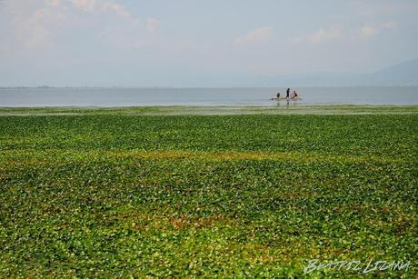 ¿Es la democracia el mejor sistema político? | China 1 – Resto del mundo 0