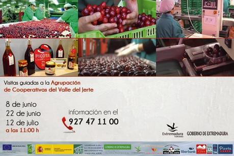 La Agrupación de Cooperativas del Valle del Jerte te abre sus puertas