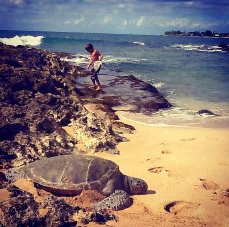 fotografías curiosas y algunas muy divertidas