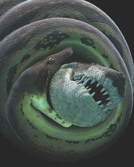 lucha de una titanoboa y un cocodrilo prehistórico