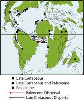 migración Dyrosaurus desde África